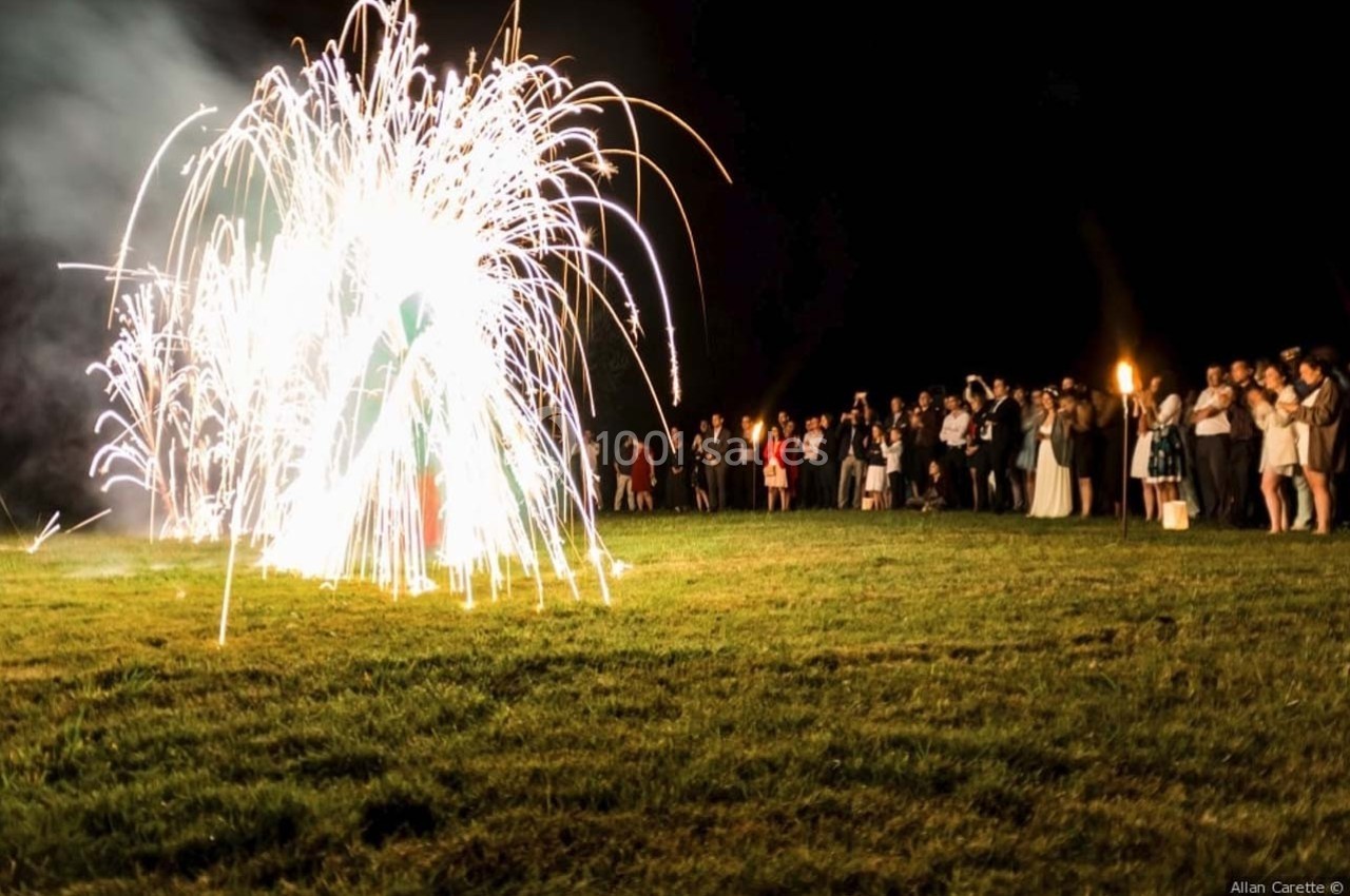 Location salle Roanne (Loire) - Château de Matel #20 Groupe de personnes observant un feu d'artifice illuminant une pelouse en pleine nuit.