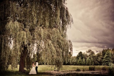 Miniature Location salle Roanne (Loire) - Château de Matel #35 Allée gravillonnée bordée de lanternes blanches menant à un jardin arboré, vue depuis un portail en fer forgé.