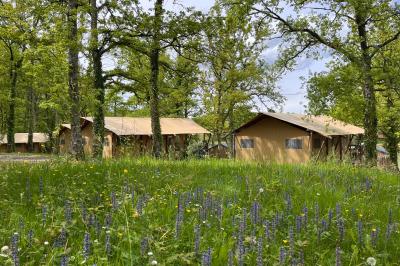 Table en bois décorée de fleurs, bougies et assiettes, installée en extérieur près d'un étang entouré d'arbres.