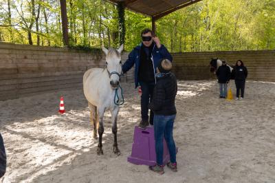 Femme souriante tenant les rênes d'un cheval brun dans un environnement extérieur boisé.