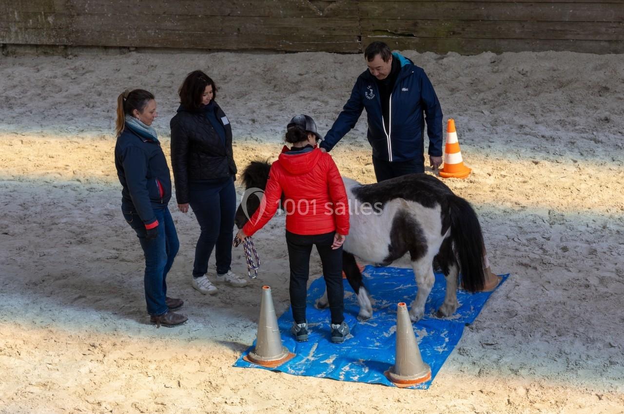 Un poney noir et blanc guidé par une femme sur un tapis bleu, entouré de trois personnes dans un manège.