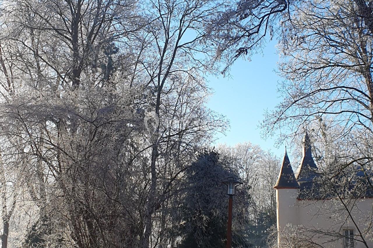 Allée bordée d'arbres givrés menant à un bâtiment avec des tours, par une matinée ensoleillée d'hiver.