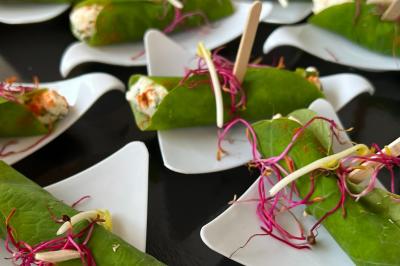 Plateau de charcuterie avec jambon, saucisson, cornichons, tomates cerises et feuilles de salade en décoration.