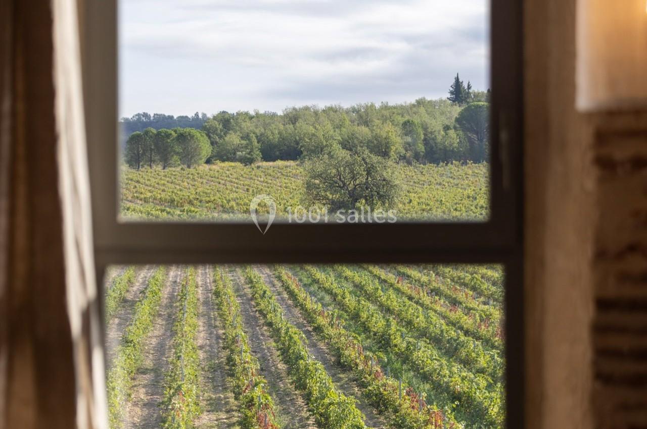 Vue sur un vignoble verdoyant à travers une fenêtre, avec un arbre isolé au centre et des arbres en arrière-plan.