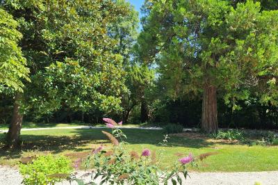 Chambre lumineuse avec lit double, fauteuil en bois, baignoire blanche et grande fenêtre donnant sur l'extérieur.