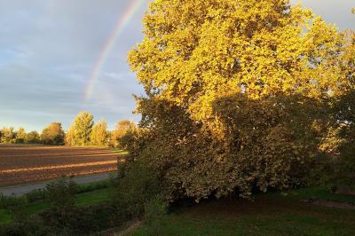 Chambre lumineuse avec lit double, fauteuil en bois, baignoire blanche et grande fenêtre donnant sur l'extérieur.