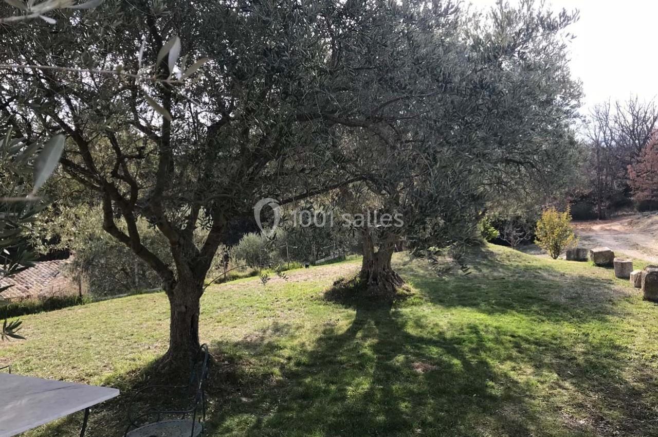 Location salle Valensole (Alpes-de-Haute-Provence) - Domaine de Peyremane  #13