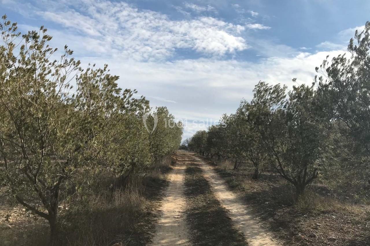 Location salle Valensole (Alpes-de-Haute-Provence) - Domaine de Peyremane  #14