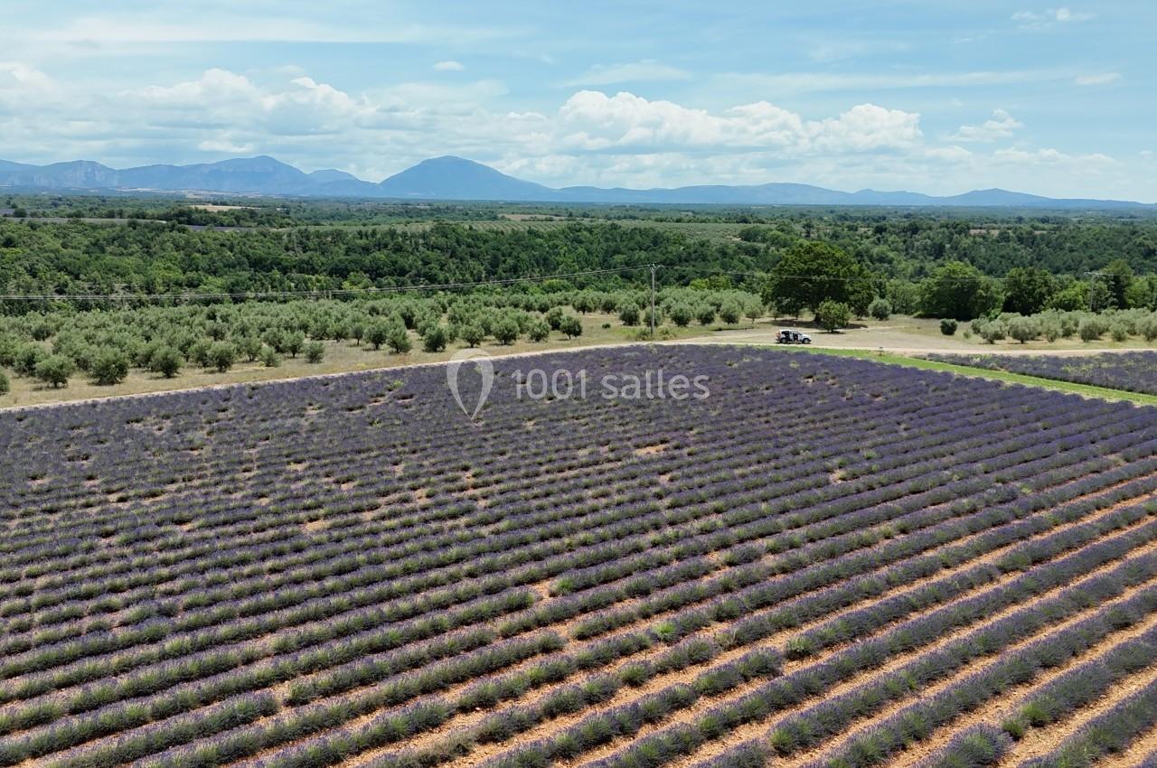 Location salle Valensole (Alpes-de-Haute-Provence) - Domaine de Peyremane  #43