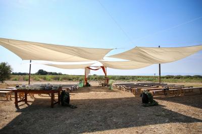 Location salle Valensole (Alpes-de-Haute-Provence) - Domaine de Peyremane  #64