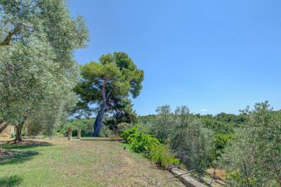 Location salle Valensole (Alpes-de-Haute-Provence) - Domaine de Peyremane  #64