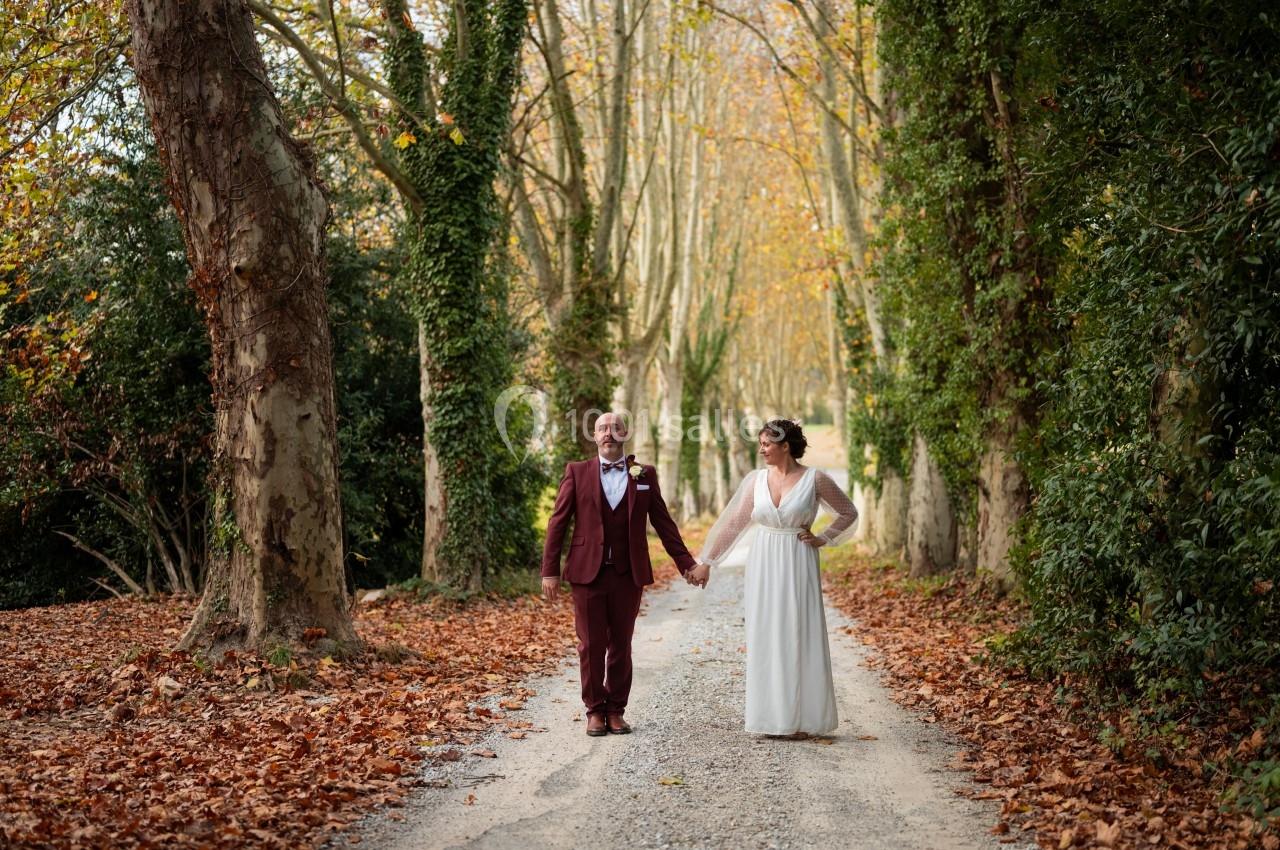 Un couple en tenue de mariage marche main dans la main sur un chemin bordé d'arbres en automne.