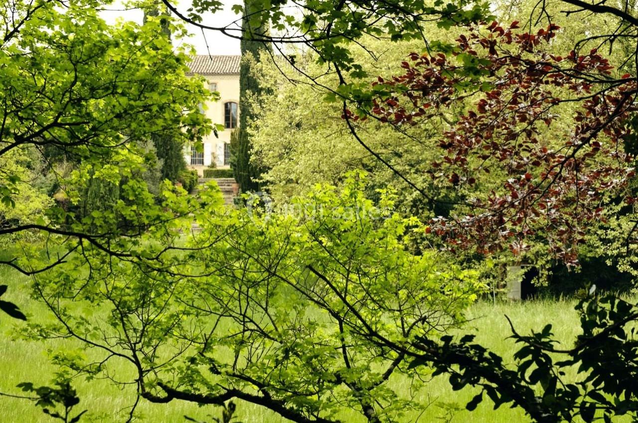 Maison entourée de verdure, visible à travers des arbres aux feuillages denses dans un paysage naturel.