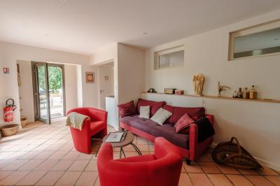 Jardin verdoyant avec fleurs sauvages, arbres et arbustes, entouré d'une clôture en bois sous un ciel dégagé.