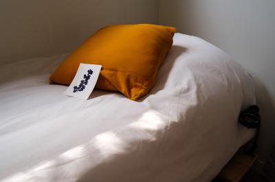 Jardin verdoyant avec fleurs sauvages, arbres et arbustes, entouré d'une clôture en bois sous un ciel dégagé.