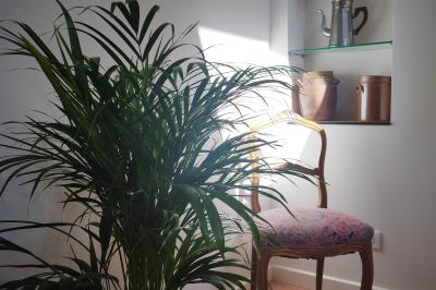 Jardin verdoyant avec fleurs sauvages, arbres et arbustes, entouré d'une clôture en bois sous un ciel dégagé.