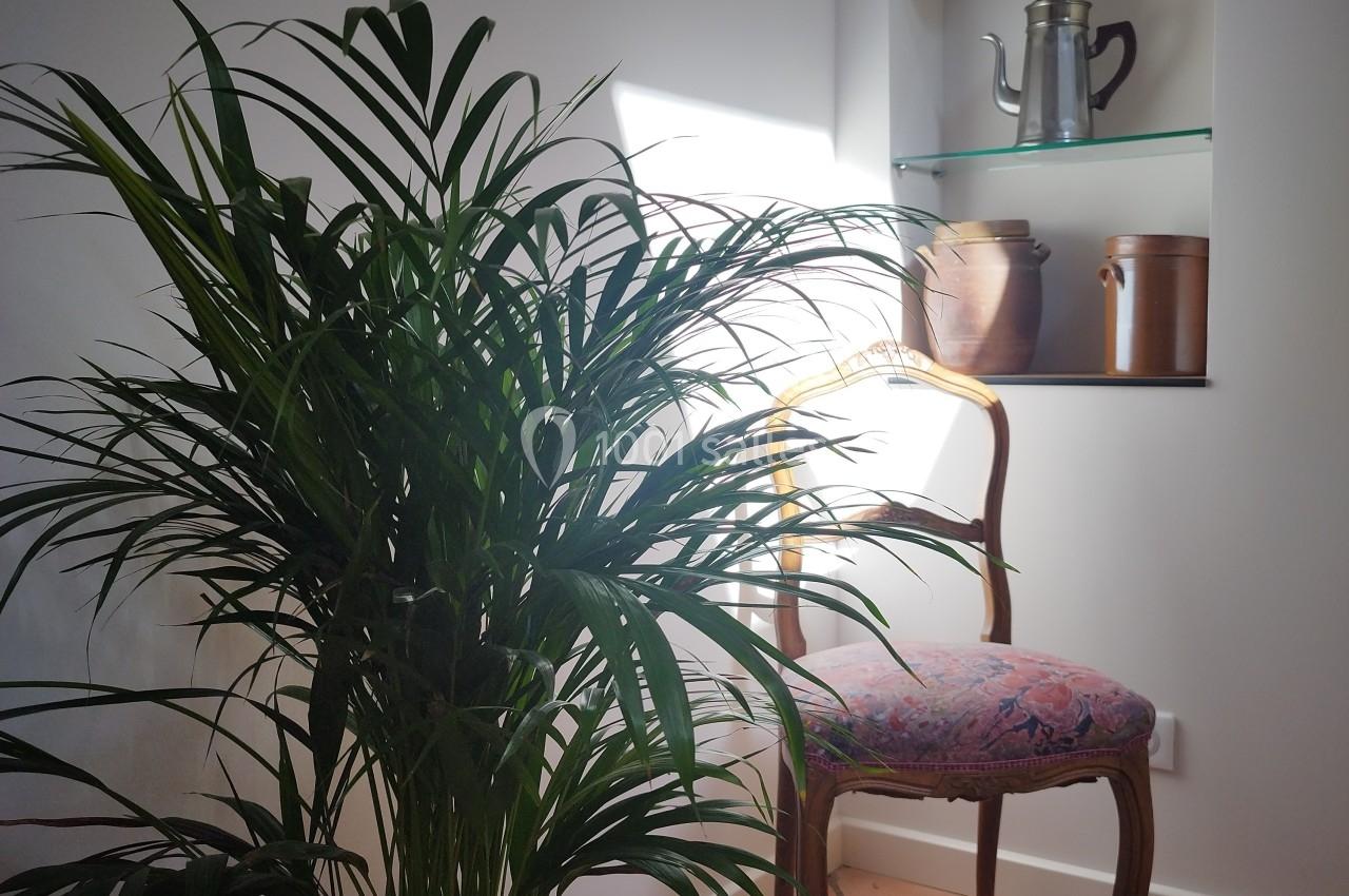 Plante en pot devant une chaise en bois avec assise colorée, éclairées par la lumière naturelle dans une pièce au sol en…