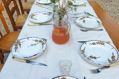 Jardin verdoyant avec fleurs sauvages, arbres et arbustes, entouré d'une clôture en bois sous un ciel dégagé.