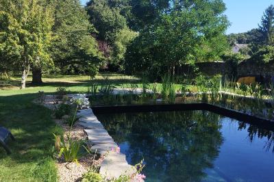 Jardin verdoyant avec fleurs sauvages, arbres et arbustes, entouré d'une clôture en bois sous un ciel dégagé.