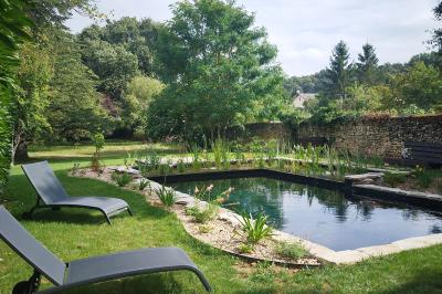 Jardin verdoyant avec fleurs sauvages, arbres et arbustes, entouré d'une clôture en bois sous un ciel dégagé.