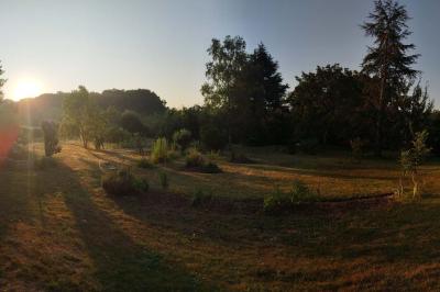 Jardin verdoyant avec fleurs sauvages, arbres et arbustes, entouré d'une clôture en bois sous un ciel dégagé.