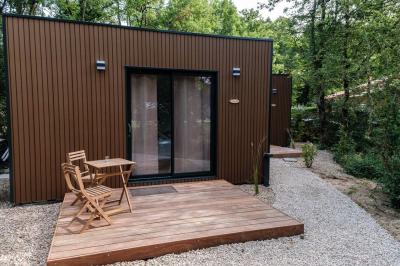 Jardin verdoyant avec fleurs sauvages, arbres et arbustes, entouré d'une clôture en bois sous un ciel dégagé.