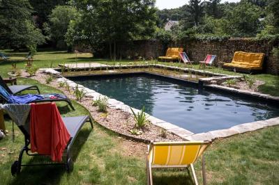 Jardin verdoyant avec fleurs sauvages, arbres et arbustes, entouré d'une clôture en bois sous un ciel dégagé.