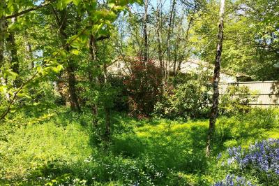 Jardin verdoyant avec fleurs sauvages, arbres et arbustes, entouré d'une clôture en bois sous un ciel dégagé.