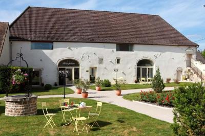 Comptoir en bois avec étagères contenant des bouteilles, tasses, objets décoratifs et plantes dans un espace lumineux.