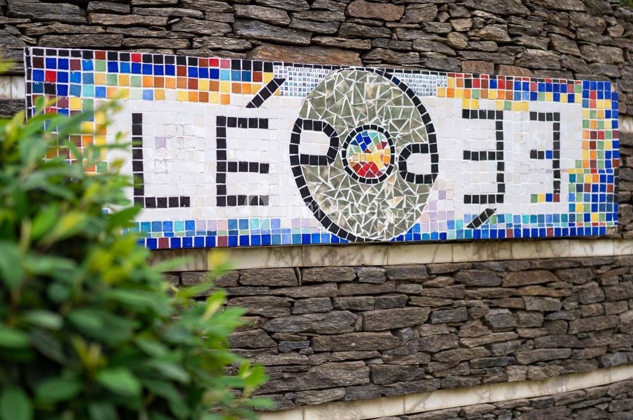 Mosaïque colorée représentant le mot ’LÉO’ sur un mur en pierre, partiellement masquée par un arbuste au premier plan.