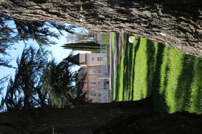 Décor de cérémonie en extérieur avec arche en bois, voilages blancs et verts, fleurs et chaises en bois.