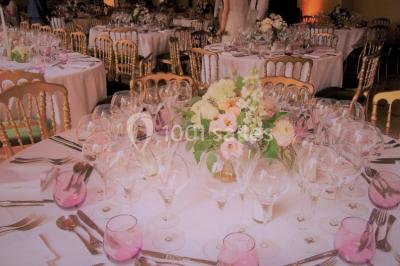 Location salle Pierreclos (Saône-et-Loire) - Château De Pierreclos #24