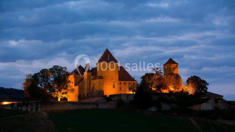 Location salle Pierreclos (Saône-et-Loire) - Château De Pierreclos #22
