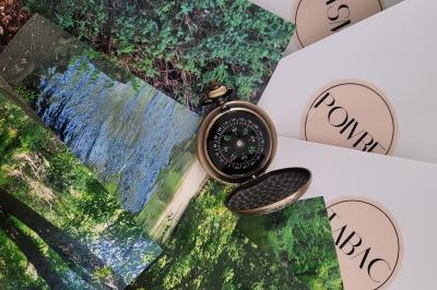 Intérieur d'un bar cosy avec un comptoir en bois, des tabourets hauts et des tables alignées dans un espace chaleureux.