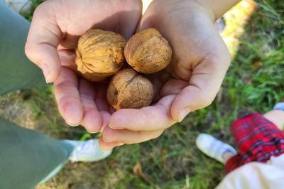 Intérieur d'un bar cosy avec un comptoir en bois, des tabourets hauts et des tables alignées dans un espace chaleureux.