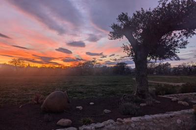 Miniature Location salle Saint-Génis-des-Fontaines (Pyrénées-Orientales) - Mas Puig #26 Vue aérienne d'une maison en pierre avec piscine, jardin, terrasse et espaces verts environnants.
