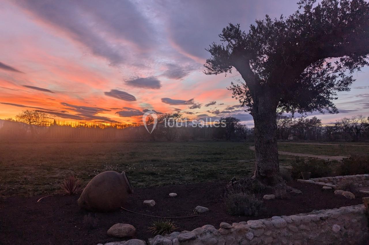 Paysage au coucher de soleil avec un arbre, un pot en terre cuite et un mur de pierre au premier plan.
