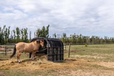 Collection de jouets anciens représentant des cuisinières miniatures et une balance rétro sur une étagère.