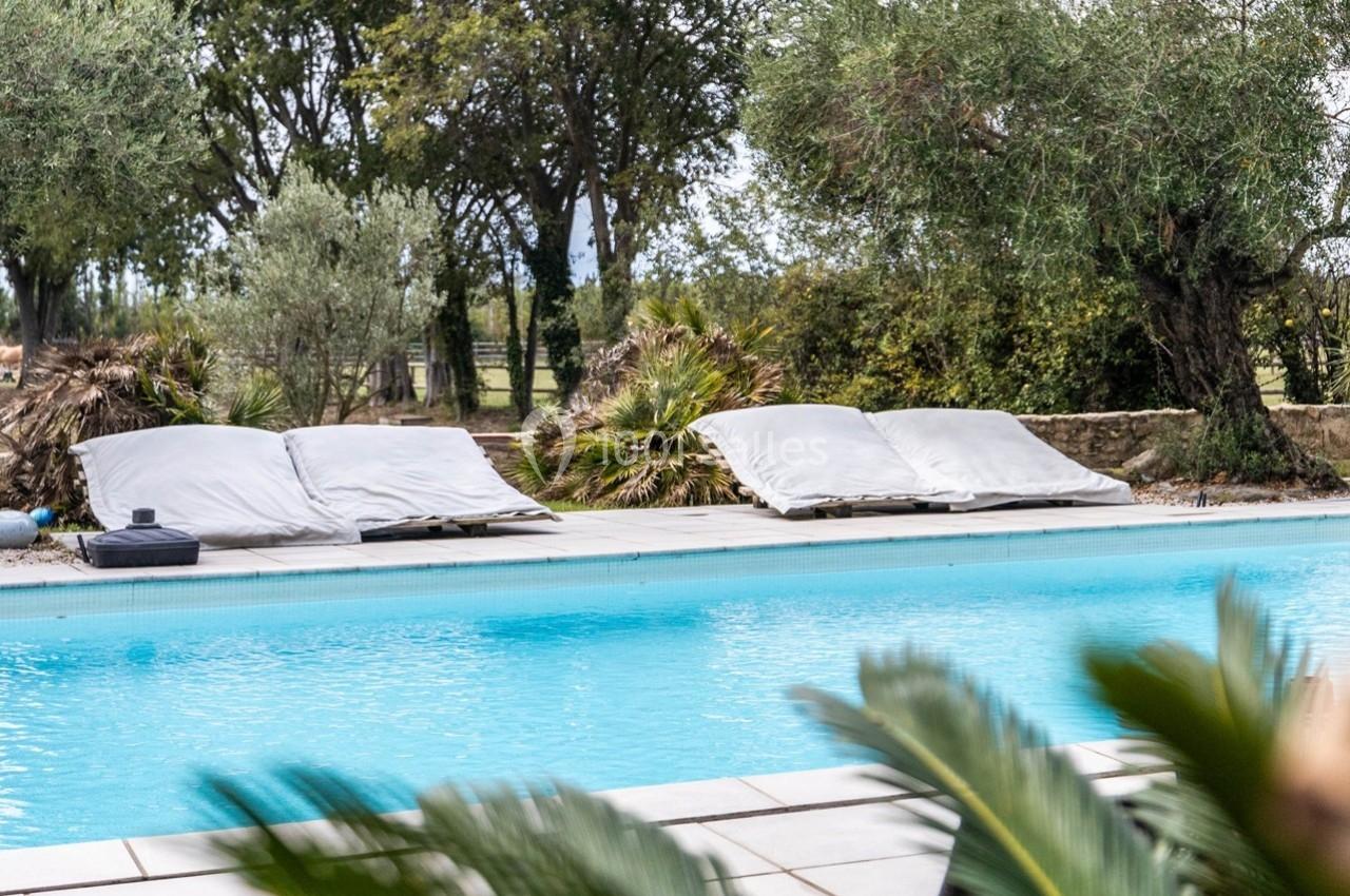 Deux transats avec coussins gris disposés près d'une piscine entourée de végétation et d'arbres.