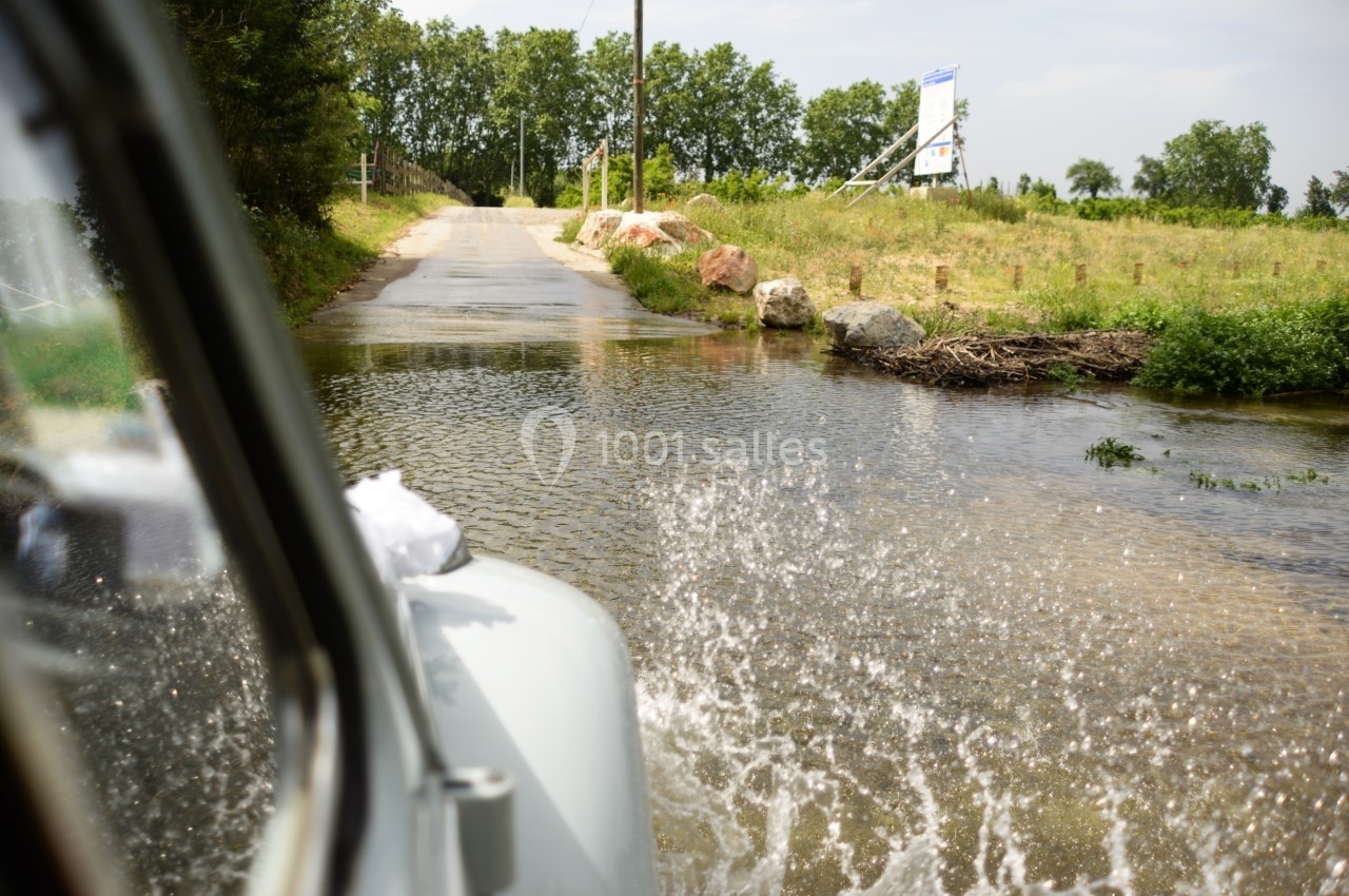 Une voiture traverse un gué peu profond sur une route de campagne bordée d'herbe et d'arbres.