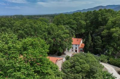 Domaine Castell de Blé Domaine Castell de Blé