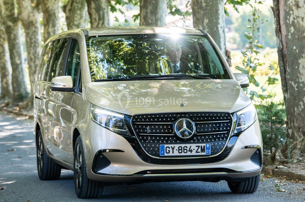 Monospace beige Mercedes-Benz stationné sur une route bordée d'arbres, éclairé par la lumière du soleil.