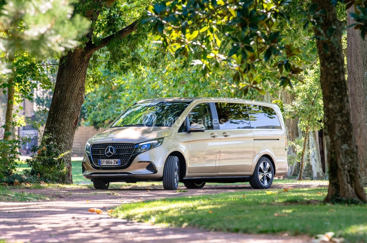 Un van beige stationné sur un chemin bordé d'arbres dans un environnement verdoyant.