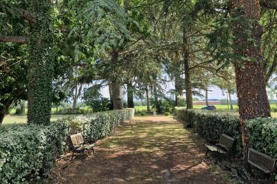 Salle spacieuse avec carrelage au sol, grandes baies vitrées, poutres apparentes et lustres suspendus.