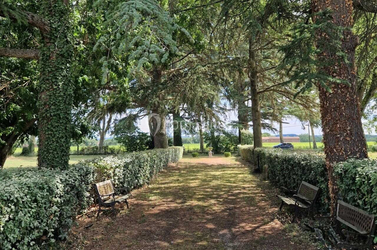 Allée bordée de haies et d'arbres, avec des bancs en bois, menant à un espace ouvert sous un ciel dégagé.