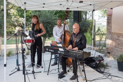 Deux mains tendues l'une vers l'autre au-dessus d'un champ de tournesols fanés.