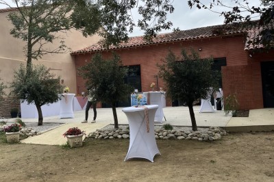 Deux mains tendues l'une vers l'autre au-dessus d'un champ de tournesols fanés.