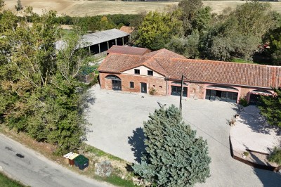 Deux mains tendues l'une vers l'autre au-dessus d'un champ de tournesols fanés.