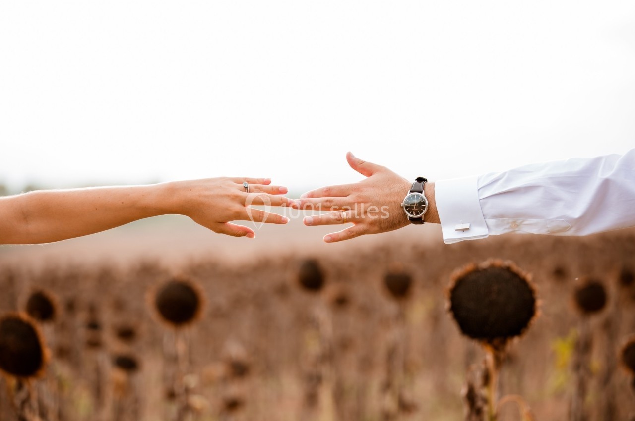 Deux mains tendues l'une vers l'autre au-dessus d'un champ de tournesols fanés.