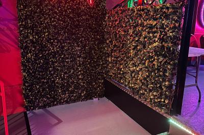 Affiche promotionnelle pour la location d'une péniche à Melun, avec photos de l'intérieur, extérieur et un QR code.